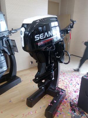 Лодочный мотор Seanovo SN 75 FHL-D Лодочный мотор Seanovo SN 75 FHL-D